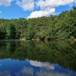 Királyrét tanösvény , Szokolya - Egyéb