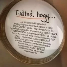 Királyrét tanösvény , Szokolya - Egyéb