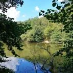 Királyrét tanösvény Szokolya - Egyéb