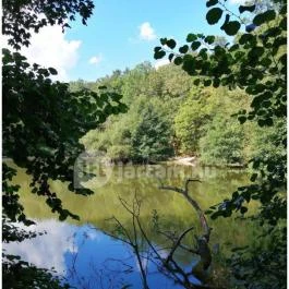 Királyrét tanösvény , Szokolya - Egyéb