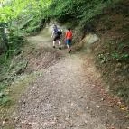 Királyrét tanösvény Szokolya - Egyéb