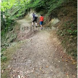 Királyrét tanösvény , Szokolya - Egyéb