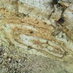 Királyrét tanösvény Szokolya - Egyéb