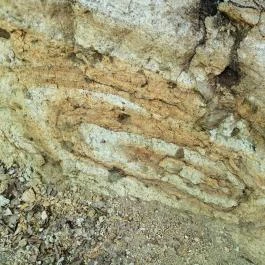 Királyrét tanösvény , Szokolya - Egyéb