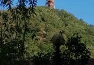 Várhegy-kilátó Szokolya