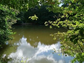 Bajdázó-tó Szokolya