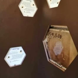 Királyrét tanösvény , Szokolya - Egyéb