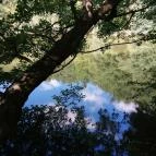 Királyrét tanösvény Szokolya - Egyéb