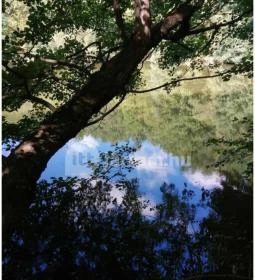 Királyrét tanösvény 