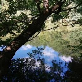 Királyrét tanösvény , Szokolya - Egyéb