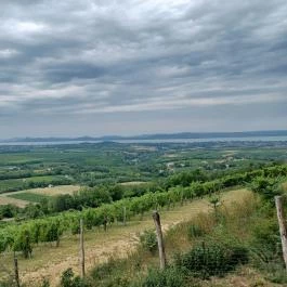 Kishegyi kilátó Balatonlelle - Egyéb