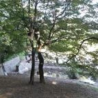 Lajos-forrás Szentendre - Egyéb