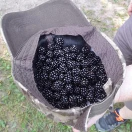 Lajos-forrás, Szentendre - Egyéb