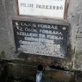 Lajos-forrás, Szentendre - Egyéb
