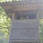 Lajos-forrás Szentendre - Egyéb