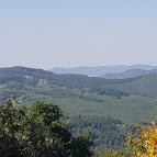 Lajos-forrás Szentendre - Egyéb