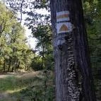 Lajos-forrás Szentendre - Egyéb