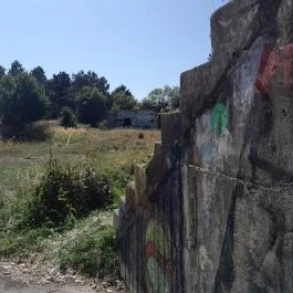 Lajos-forrás, Szentendre - Egyéb