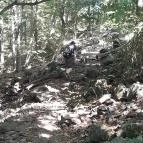 Lajos-forrás Szentendre - Egyéb