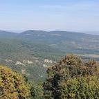 Lajos-forrás Szentendre - Egyéb