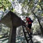 Lajos-forrás Szentendre - Egyéb