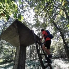 Lajos-forrás, Szentendre - Egyéb