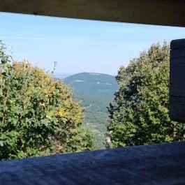 Lajos-forrás, Szentendre - Egyéb