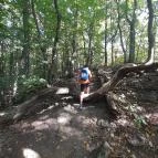 Lajos-forrás Szentendre - Egyéb