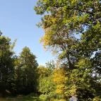 Lajos-forrás Szentendre - Egyéb