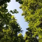 Lajos-forrás Szentendre - Egyéb