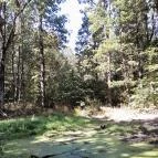 Lajos-forrás Szentendre - Egyéb