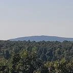 Lajos-forrás Szentendre - Egyéb