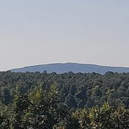 Lajos-forrás, Szentendre - Egyéb