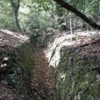 Lajos-forrás Szentendre - Egyéb