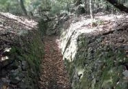 Lajos-forrás Szentendre