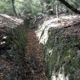 Lajos-forrás, Szentendre - Egyéb