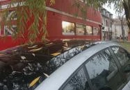 London Busz Kiskunfélegyháza