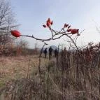 Macska-barlang Csobánka - Egyéb