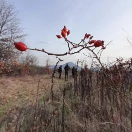 Macska-barlang, Csobánka - Egyéb