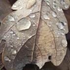 Macska-barlang Csobánka - Egyéb