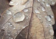 Macska-barlang Csobánka