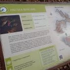 Macska-barlang Csobánka - Egyéb