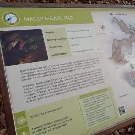 Macska-barlang, Csobánka - Egyéb