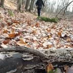 Macska-barlang Csobánka - Egyéb