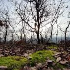 Macska-barlang Csobánka - Egyéb