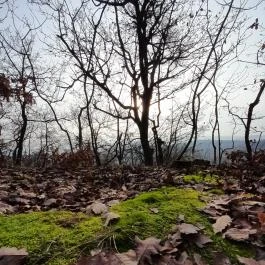 Macska-barlang, Csobánka - Egyéb