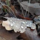 Macska-barlang Csobánka - Egyéb