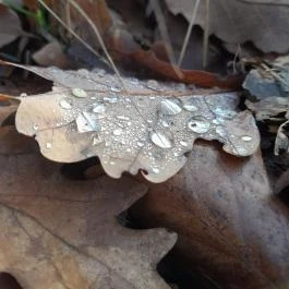 Macska-barlang, Csobánka - Egyéb
