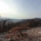 Macska-barlang Csobánka - Egyéb