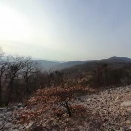 Macska-barlang, Csobánka - Egyéb